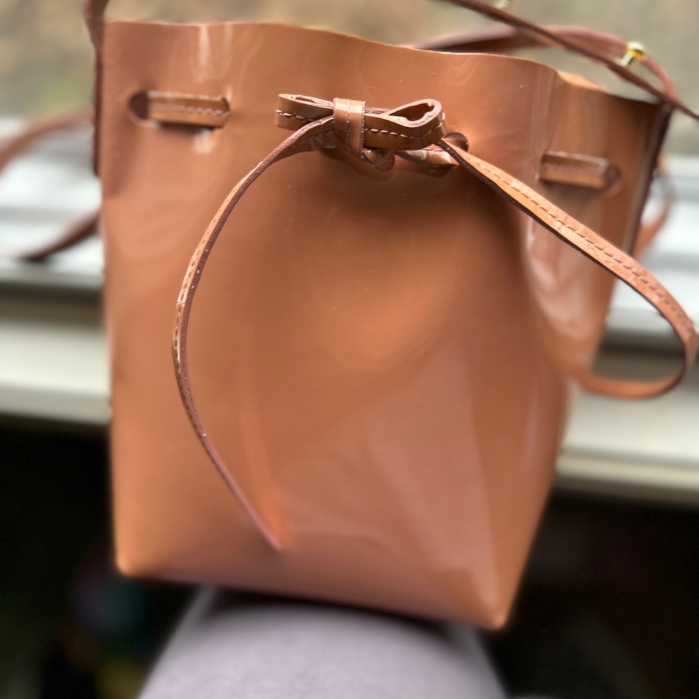 Mansur Gavriel Crossbody Bucket Bag $49…. Final reduction.  Retail  = $400